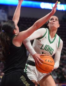 article image - Leroux